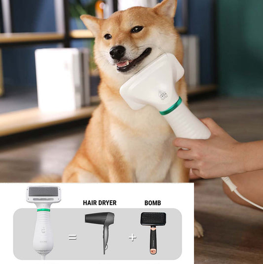 2-in-1 Pet Drying Brush – Dryer & Grooming Comb